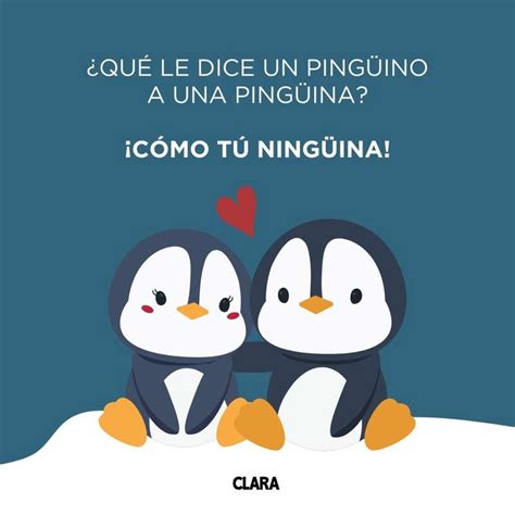 chistes malos cortos|200 chistes malos y cortos que al final siempre acaban dado risa